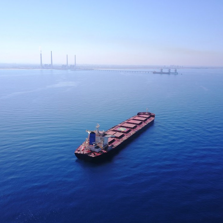 ORIENTAL OCEAN SHIPPING LIMITED. 